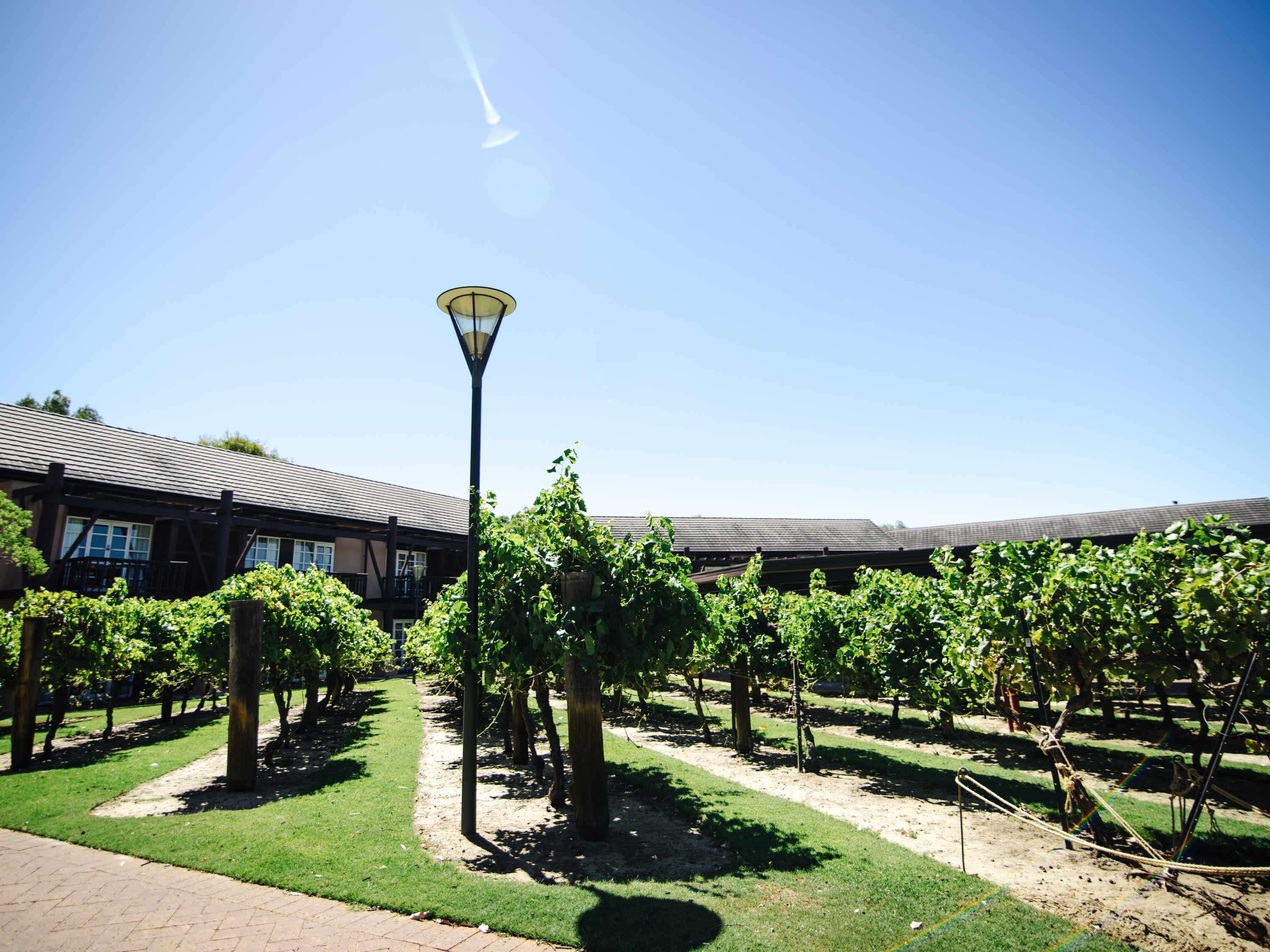 Novotel Vines Resort Swan Valley The Vines Exterior foto